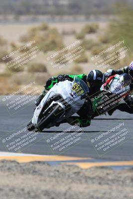 media/May-14-2023-SoCal Trackdays (Sun) [[024eb53b40]]/Turn 5 Tree of Life (1125am)/